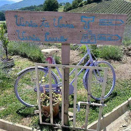 Farm stay La Lavandula