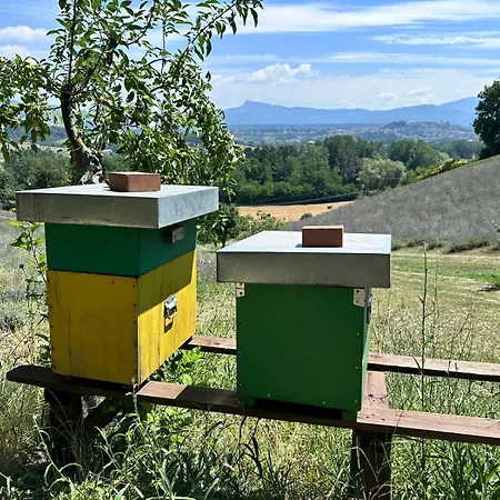 La Lavandula Farm stay Poppi