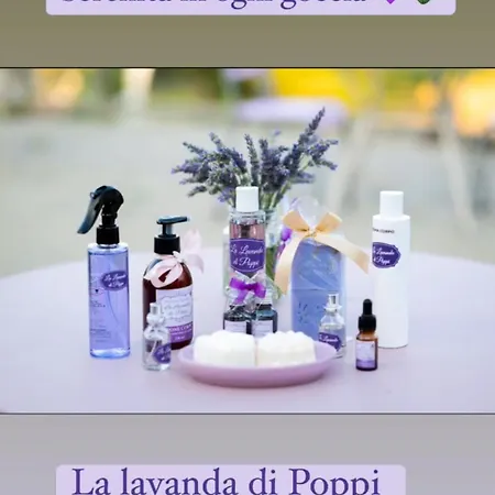 Farm stay La Lavandula Poppi