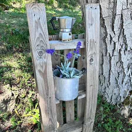La Lavandula